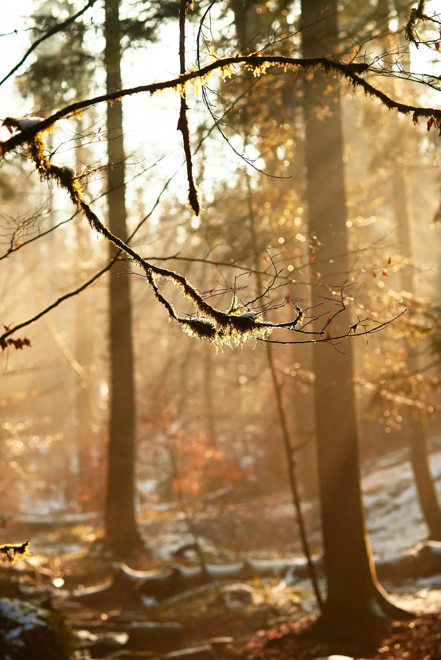 Преимущество 1