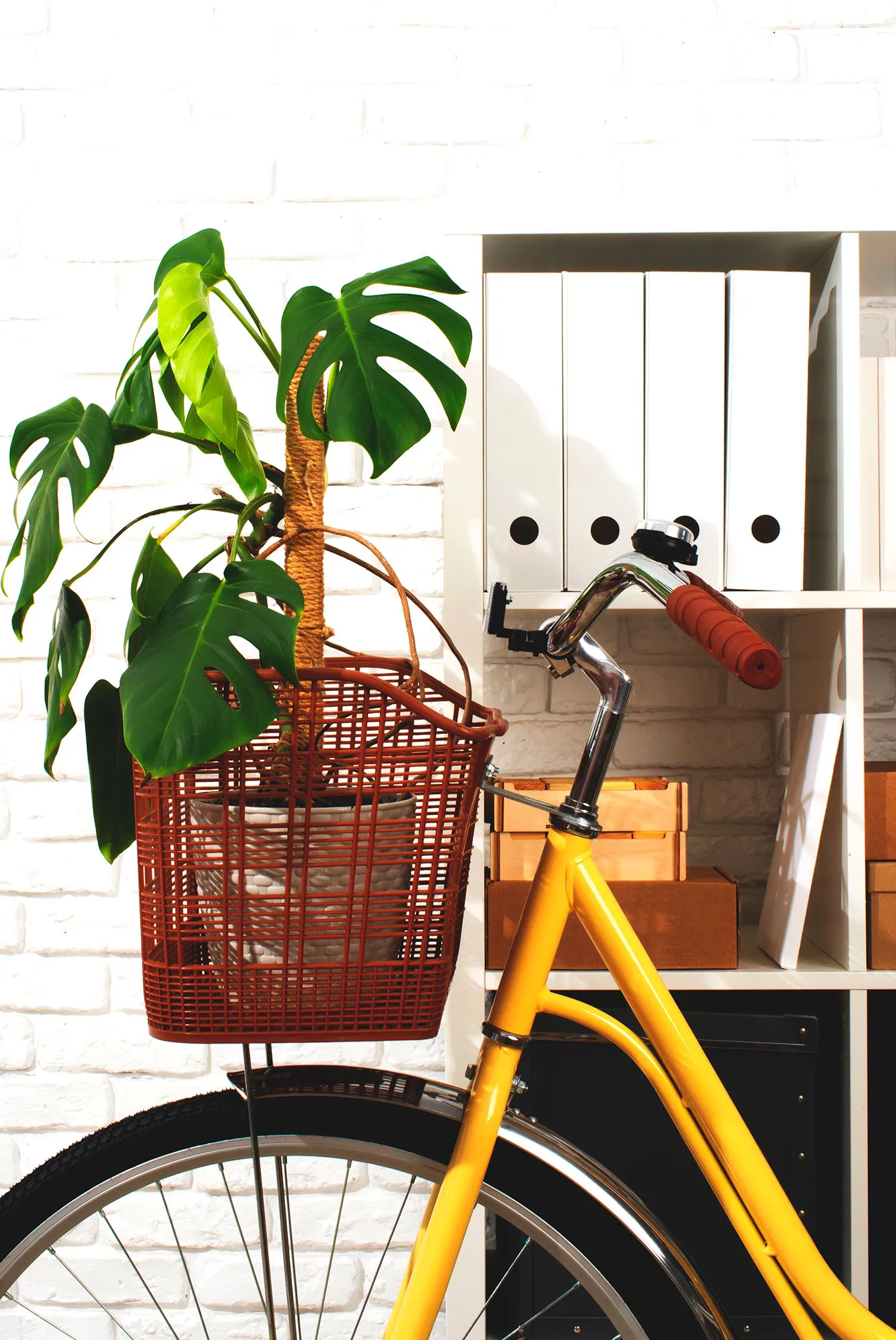 Преимущество 1